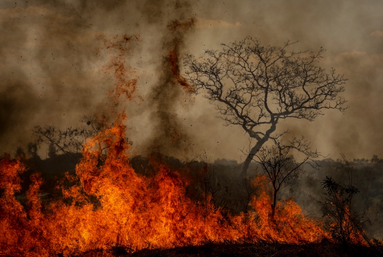 Defesa Civil renova alerta de risco elevado para incêndios no estado de São Paulo até sexta (6)